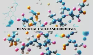 Illustration of menstrual cycle phases and hormonal changes.