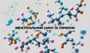 Ілюстрація фаз менструального циклу та гормональних змін.