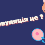 Овуляція це?