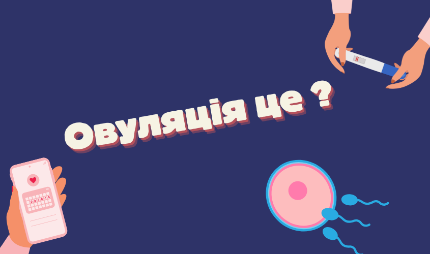 Овуляція це?