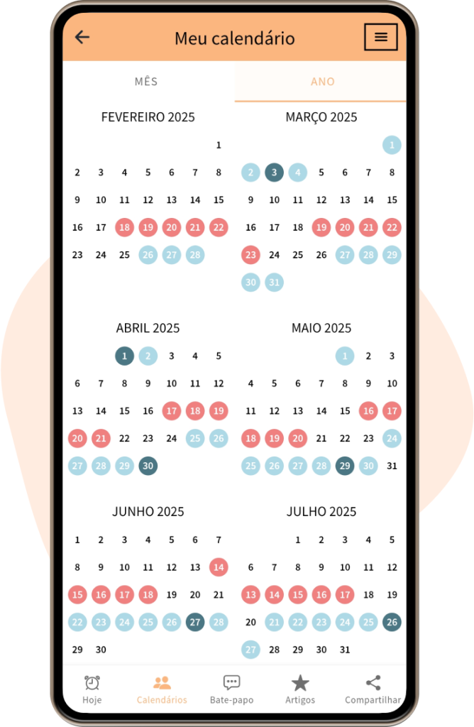 Visualização Completa do Ano do Calendário Menstrual