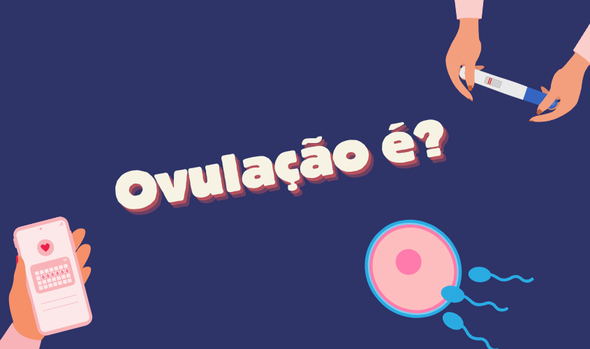 O que é a ovulação?