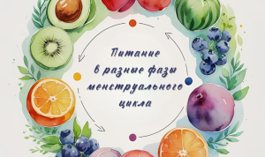 Питание по фазам менструального цикла для женщин